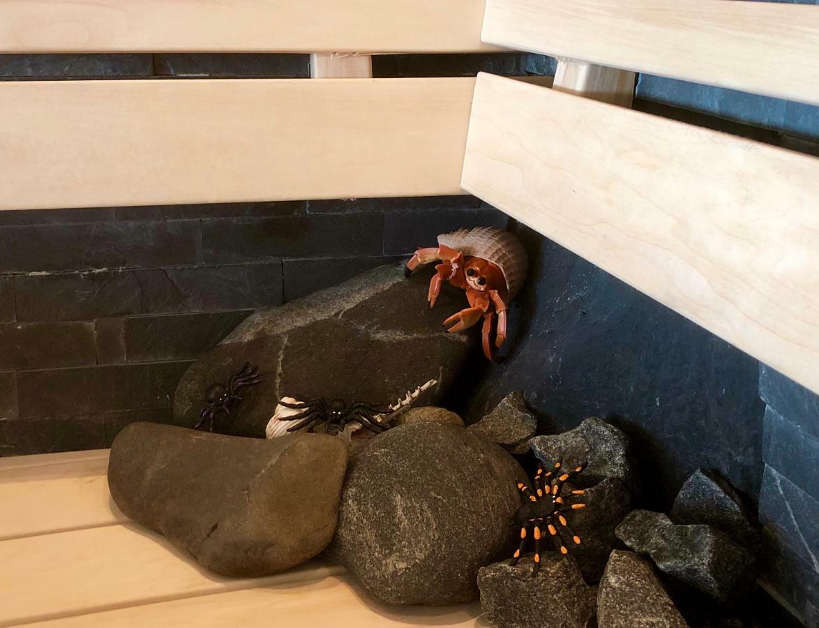 Lovely Studio Apartment Seaview & Private Sauna リラム エクステリア 写真