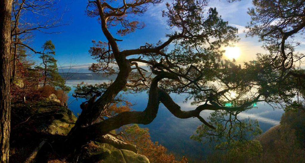 Lovely Studio Apartment Seaview & Private Sauna リラム エクステリア 写真